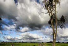 星空体育下载-关于风云突变波特兰开拓者关键时刻官宣签约；葡超版图或变；赛场秩序良好；纪律约束更严格的信息-星空体育下载